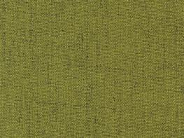Quantum Olive