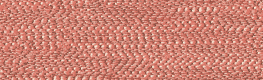 Breeze - Salmon