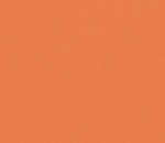 Carnival Cantaloupe