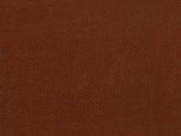 Sensation Copper
