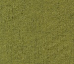 Quantum Olive