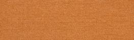 Discovery Copper
