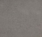 Dove Grey