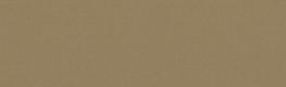 Carnival Taupe