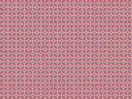 Derwent - Raspberry