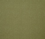 Accent Olive
