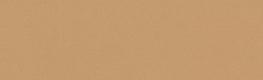 Carnival Caramel