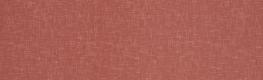 Accent Coral