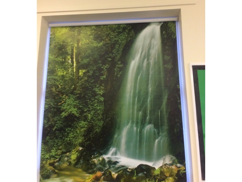 Jungle blinds for schools -