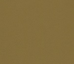 Solar Mustard