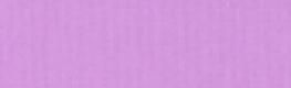 Eden Daylight Lilac