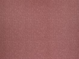 Accent Rose