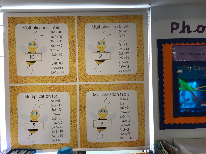 Educational Blinds for Primary Schools - English, Mathematics, Geography Blinds -