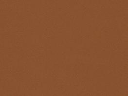 Solar Burnt Orange