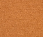 Discovery Copper