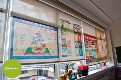 Educational Blinds for School Classrooms