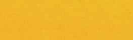 Carnival Ochre