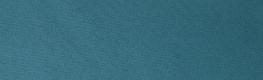 Zanzibar Teal