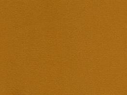 29 Regency Gold