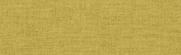 Duet - Gold