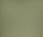 Accent Willow