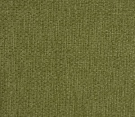 Strata Kiwi