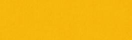 Carnival Amber