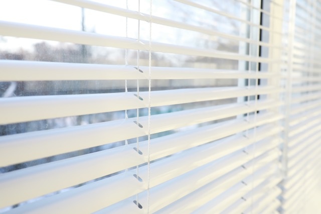 Venitian Blinds 2