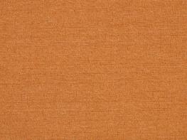 Discovery Copper