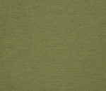 Tarragon