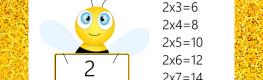 Multiplication 2x