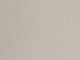 Venus Grey