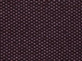 Aubergine