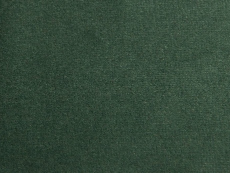 Regency Velvet