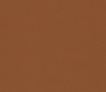 Solar Burnt Orange