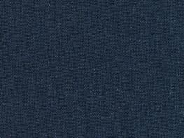 Quantum Indigo