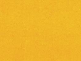 Carnival Ochre