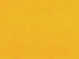 Carnival Ochre