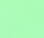 Eden Daylight Mint