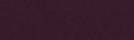 Carnival Purple