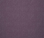 Twilight Plum