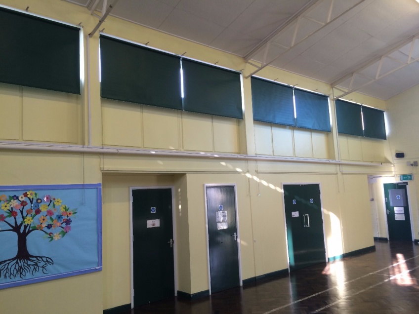 Blinds Gallery 2 - St Josephs Catholic Primary school, Garrards Cross - February 2016