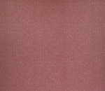 Accent Rose