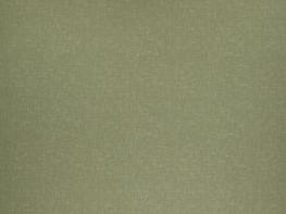 Accent Willow