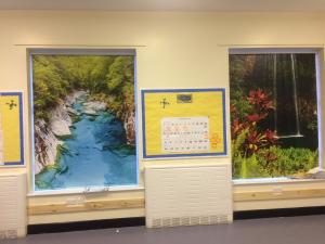 Jungle blinds for schools