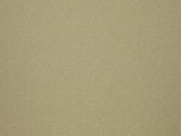 Accent Straw