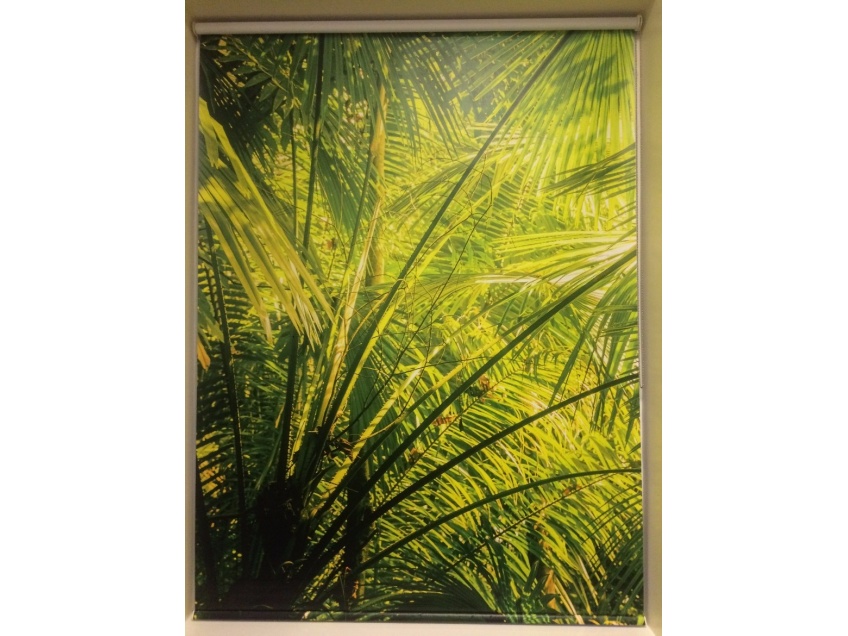 Jungle blinds for schools -