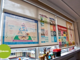 Educational Blinds for the Education Sector